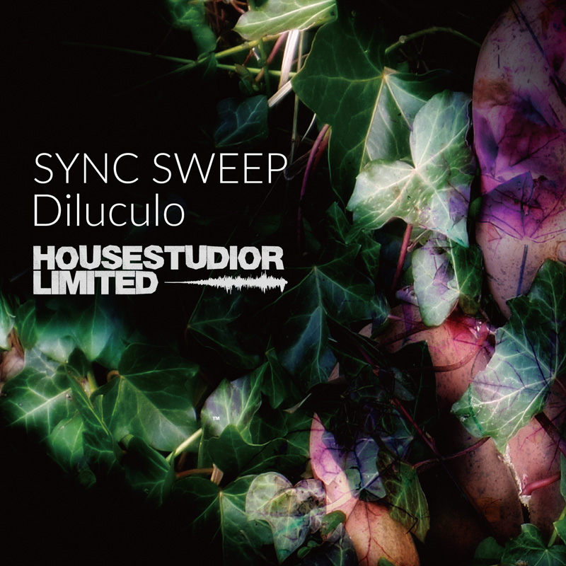 リリースカタログ画像１