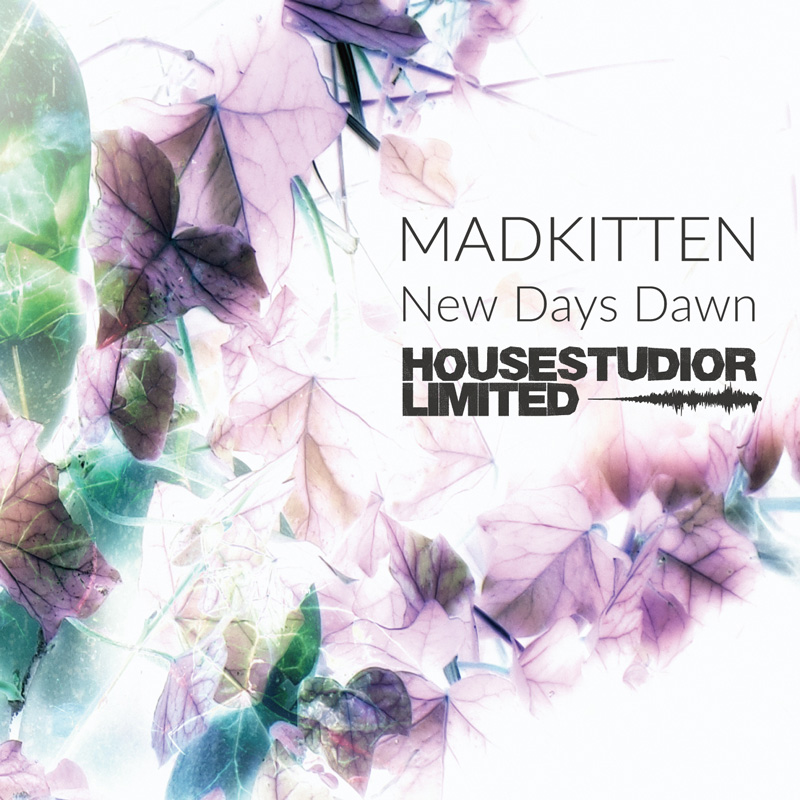 リリースカタログ画像２